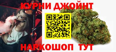 МДПВ Дубна