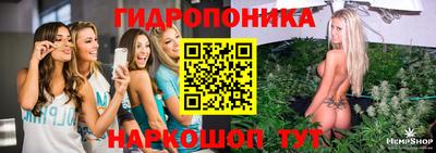 МДПВ Дубна